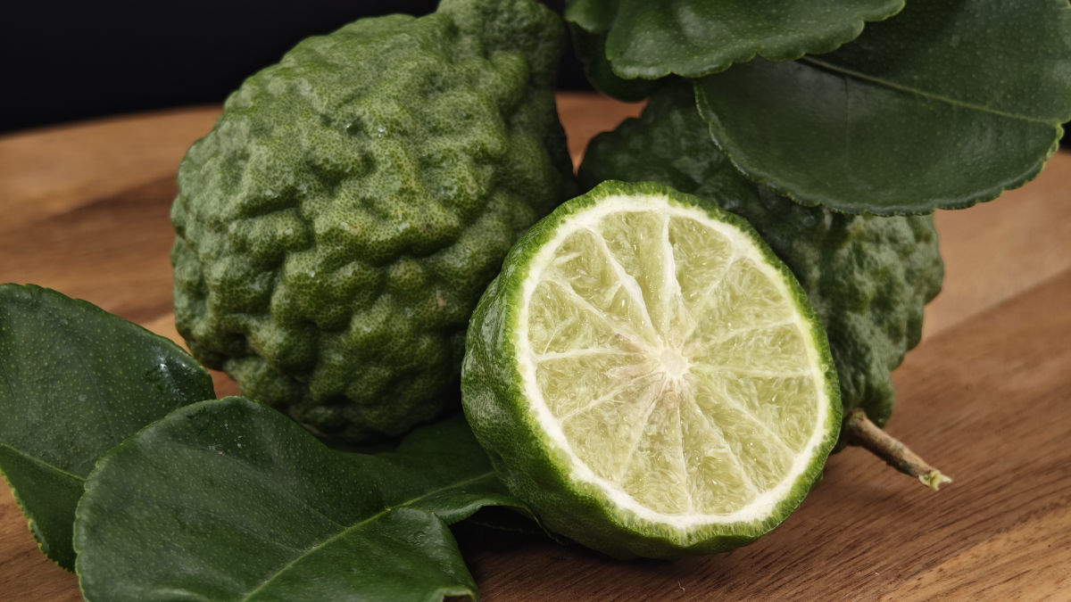 Bergamote Agrume Parfumerie fine par Mademoiselle Parfumette