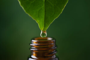 SIMPPAR 2026, matières premières parfum, inspiration creation olfactive, parfumeur independante, salon parfumerie, mademoiselle parfumette, mélanie leroux